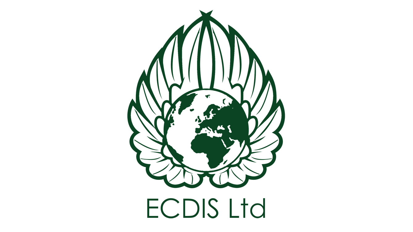 ECDIS logo