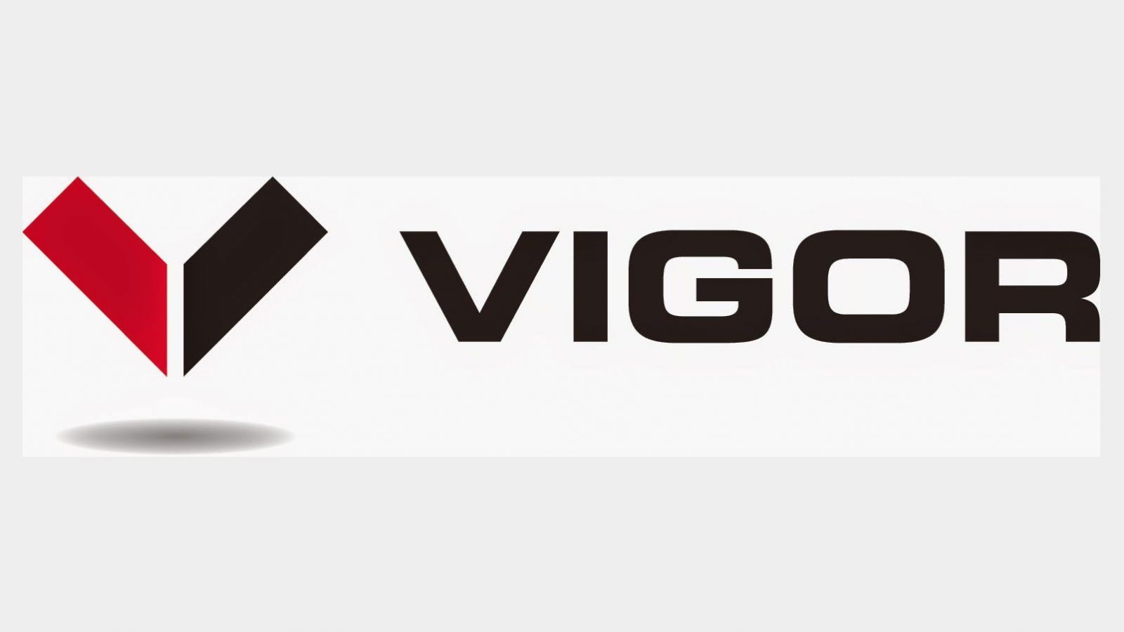 Vigor logo