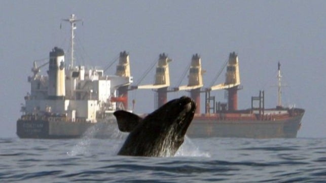 World Maritime Day slogan