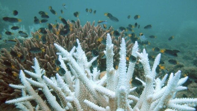 Great Barrier Reef