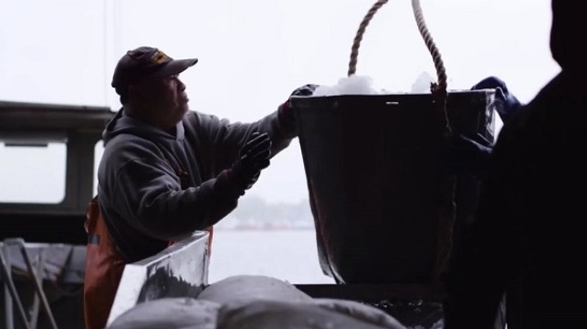 scallop fishing