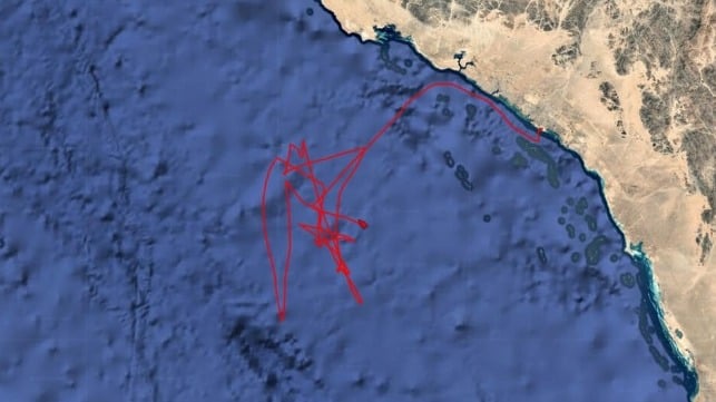 Scarlet Ray's AIS movements off Yanbu, August 24-31 (Pole Star)