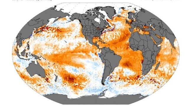 Global sea surface temperature anomaly chart, March 18. Red indicates above-average values. The North Atlantic is of particular concern to climate scientists (UMaine / NOAA)
