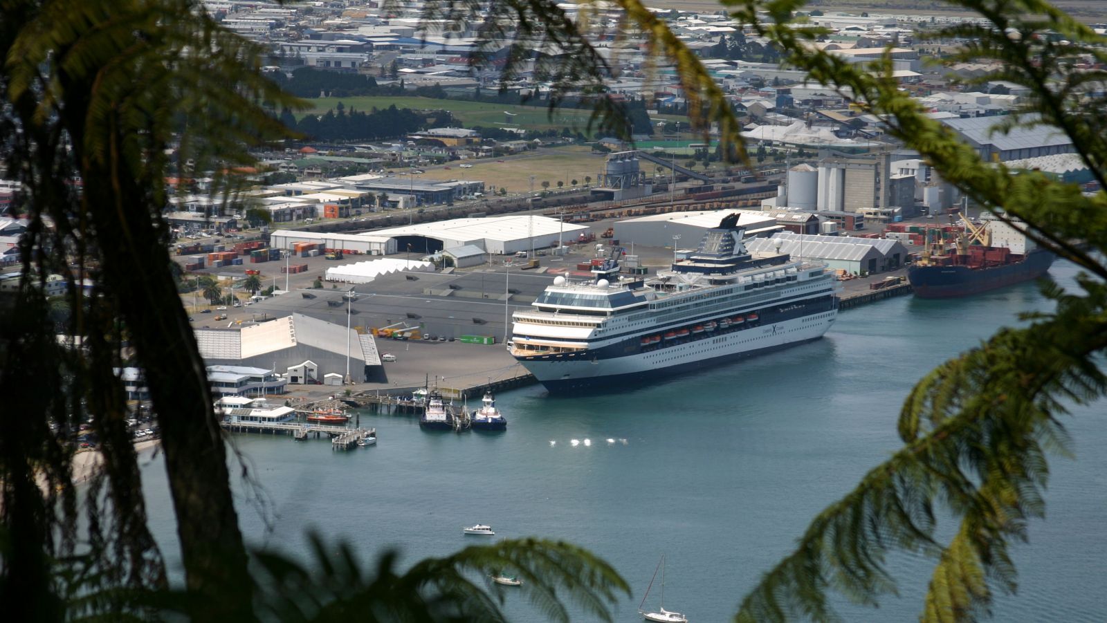 cruise ship in New Zealand