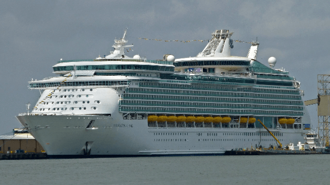 Navigator of the Seas, 2014 (file image courtesy Ahecht / CC BY SA 4.0)