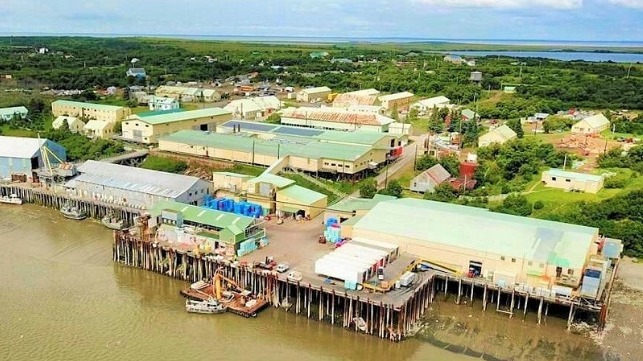 Red Salmon Cannery in Naknek, Bristol Bay, Alaska courtesy North Pacific Seafoods