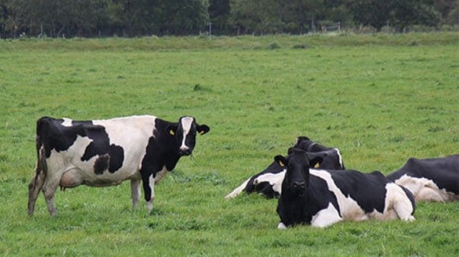 MOL Looks to Cow Manure to Supply Biomethane Fuel