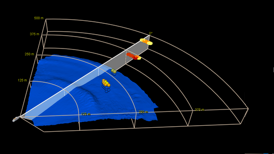 farsounder 3d sonar wartsla sam electronics