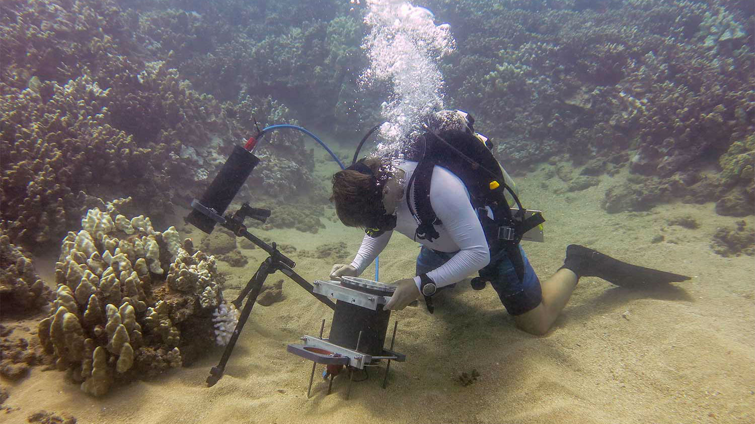 Underwater microscope