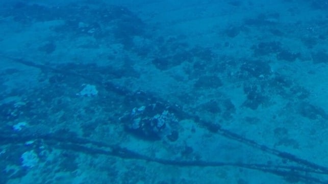 Subsea hydrophone cables on the seabed