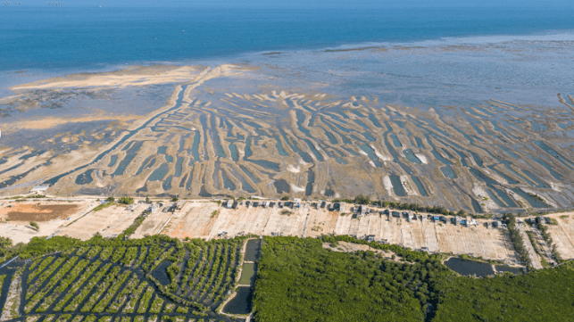 Aquaculture farms