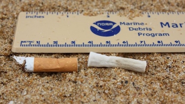 Cigarette and cigarette filter found on the beach at Sandy Point State Park, MD. (Photo Credit: NOAA)