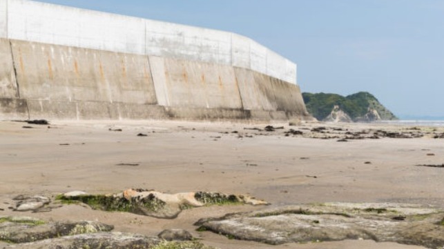 A concrete wall on the coast of Japan. (Image credit: iStock)