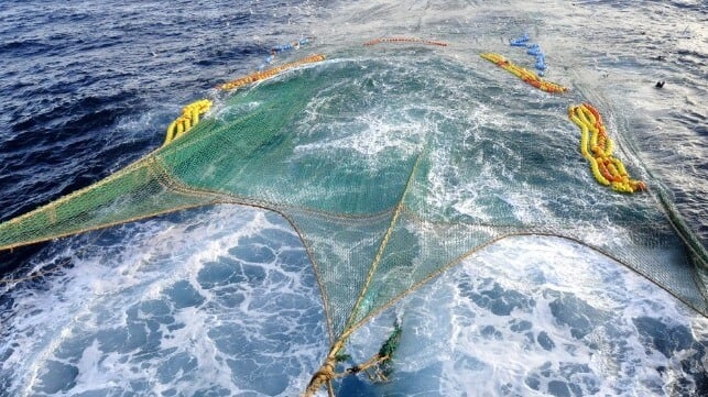 CCAMLR krill net