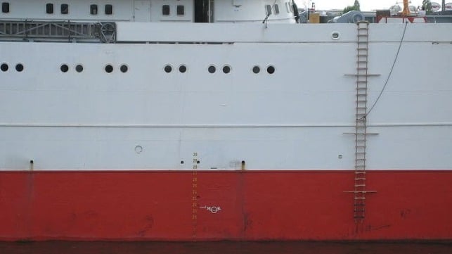 Pilot ladder