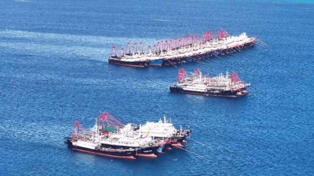 Chinese maritime militia trawlers massed at Whitsun Reef, Dec. 2023 (PCG)