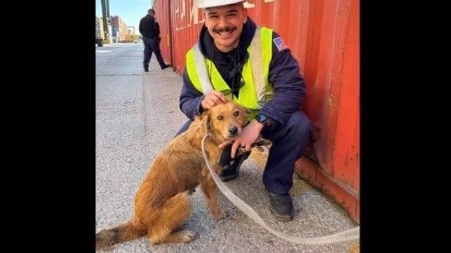 Dog with coastguardsman
