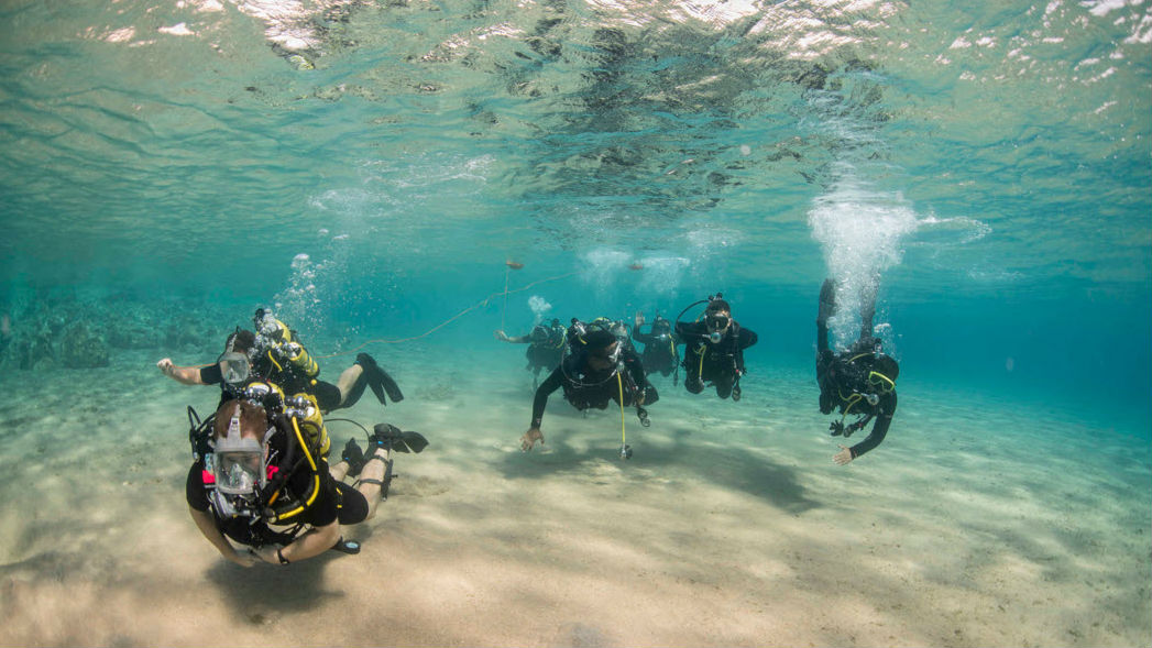 navy divers