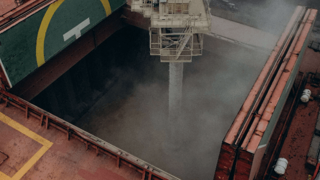 Loading grain into a bulker