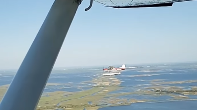 united cajun navy