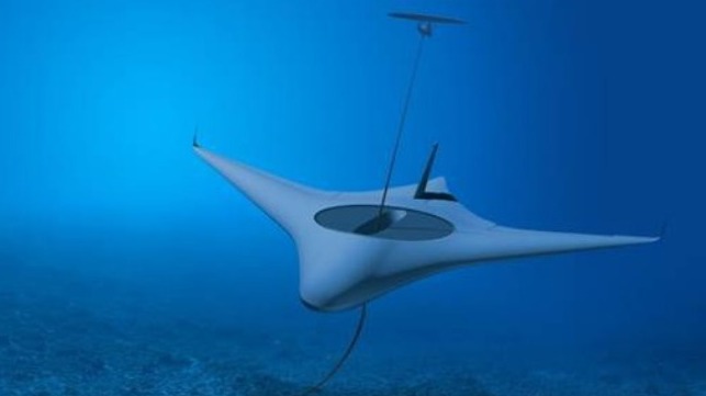 Manta Ray Program