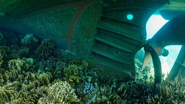 coral reef damage