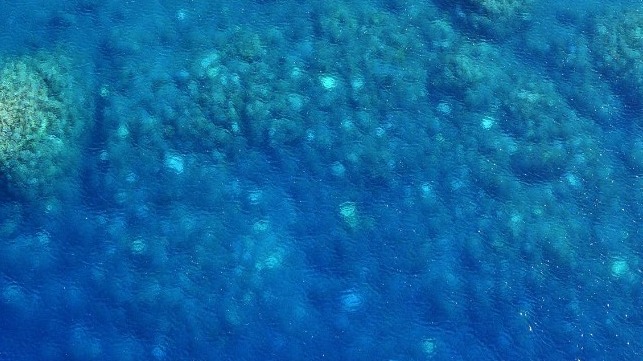 The first confirmation of bleaching on remote coral atolls at Ashmore Reef and the Rowley Shoals was provided in aerial images captured by Australian Border Force. Australian Border Force, Author provided