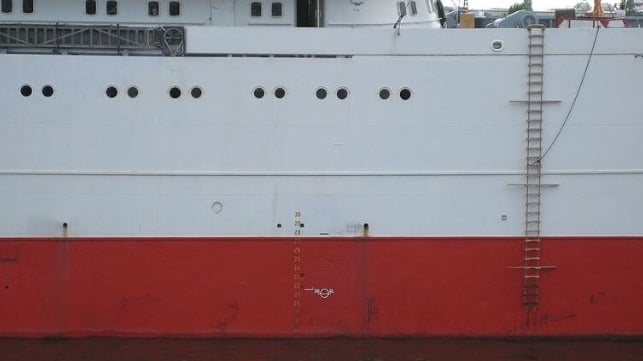 Pilot ladder