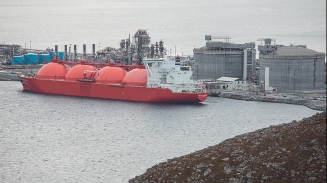 fire repairs to last up to 12 months at LNG plant