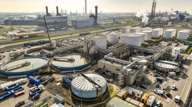 Shell to build one of Europe's largest biofuel plants