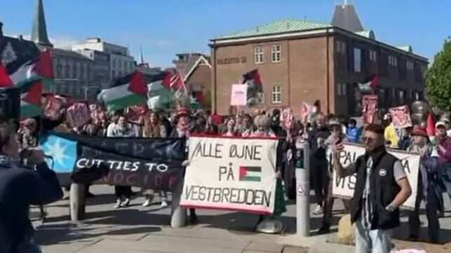 Protest in Copenhagen targeting A.P. Moller-Maersk, May 2025 (Mayhem Against Maersk)
