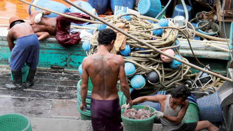 Thai fishing slaves