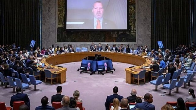 UN Security Council