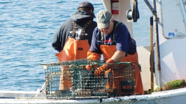 Lobster fishermen in Maine