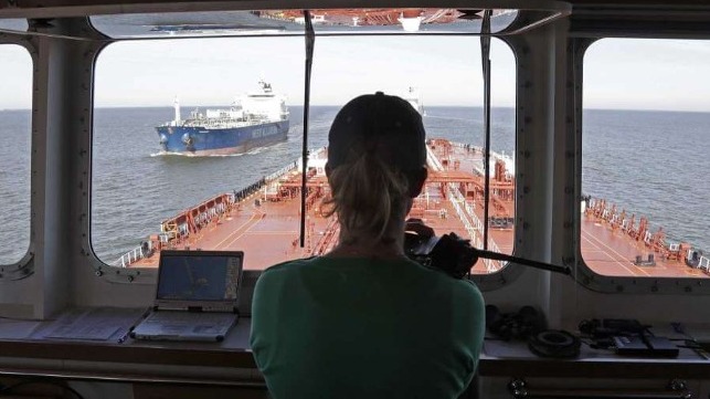 Pilot on the bridge of a ship