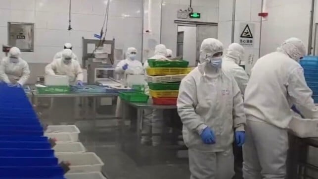 Uyghur workers