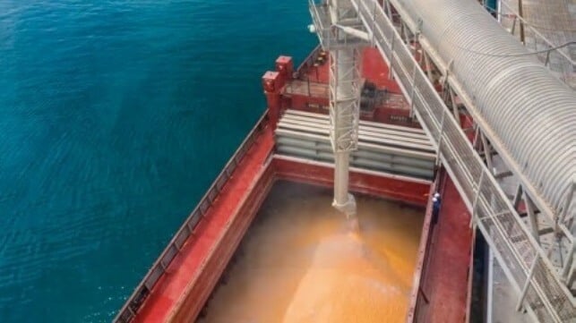 grain loading on ship