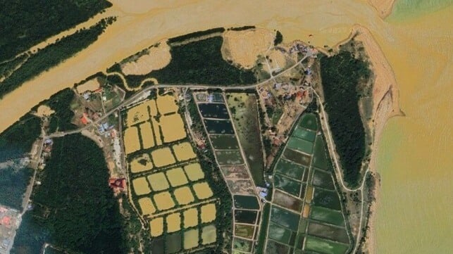Tanjung Agas