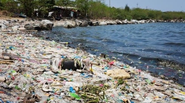 How Does Plastic Pollution Affect the Ocean?