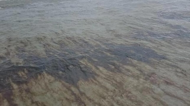 Oil slick off Pass a Loutre (USCG)