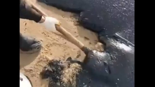 Spill cleanup