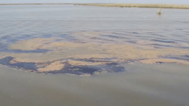 A previous spill near Venice, Louisiana in 2010 (USCG file image)