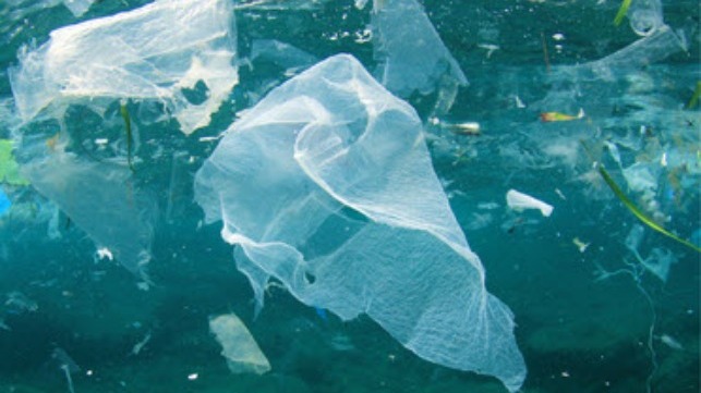 ocean plastic