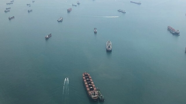 Boats starting to fill up the Harbor, Features