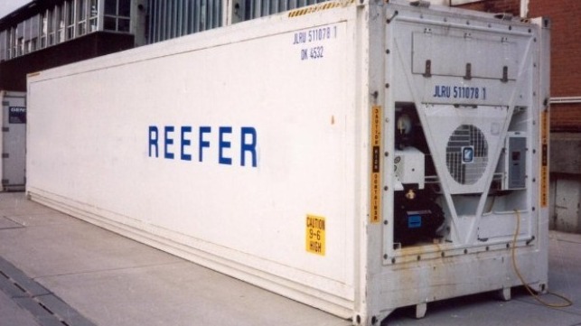 reefer cargo rates projected to climb