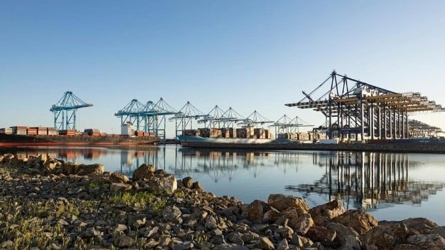 Boxships alongside at Port of Long Beach, April 2025 (Corine Solberg / Sipa via AP Images)