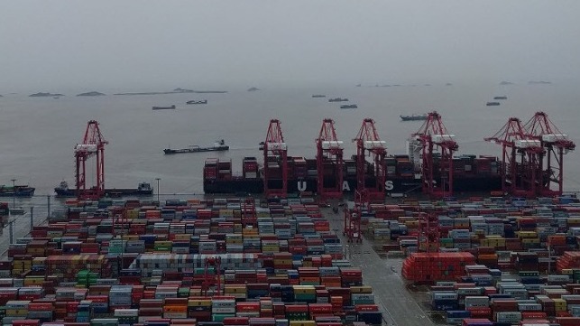 growth and automation Shanghai container port 