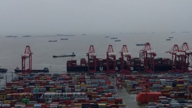 Shanghai port