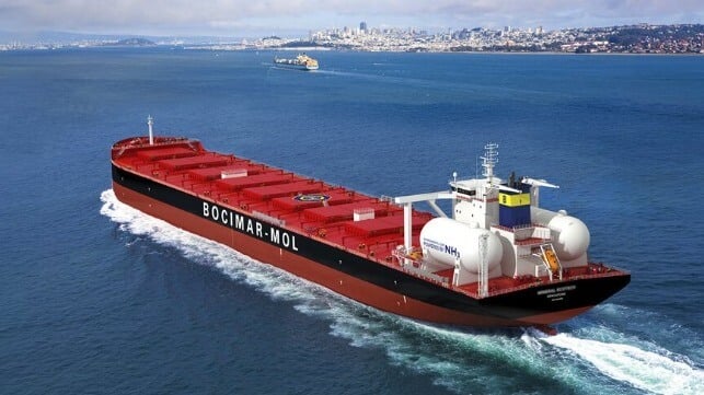 ammonia-fueled dry bulk carrier