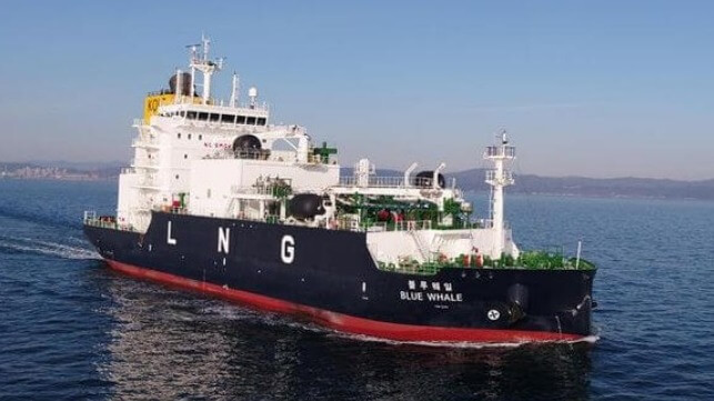 Korean LNG containment system